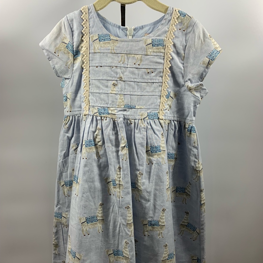 Pink Chicken dress